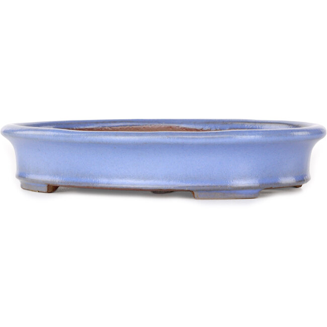 Oval light blue bonsai pot by Yamafusa - 212 x 165 x 40 mm