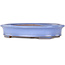 Pot à bonsaï ovale bleu clair de Yamafusa - 212 x 165 x 40 mm