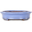 Oval light blue bonsai pot by Yamafusa - 212 x 165 x 40 mm