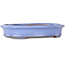 Vaso bonsai ovale azzurro di Yamafusa - 212 x 165 x 40 mm
