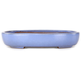  Yamafusa - Takehiko Koie 213 mm  light blue bonsai pot by Yamafusa, Tokoname, Japan