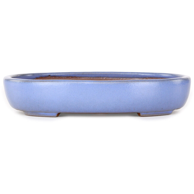 Maceta ovalada para bonsái azul claro de Yamafusa - 213 x 163 x 40 mm