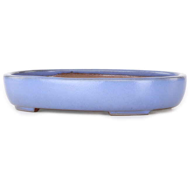 Vaso bonsai ovale azzurro di Yamafusa - 213 x 163 x 40 mm