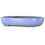 Vaso bonsai ovale azzurro di Yamafusa - 213 x 163 x 40 mm