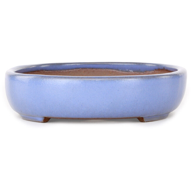 Pot à bonsaï ovale bleu clair de Yamafusa - 213 x 163 x 40 mm