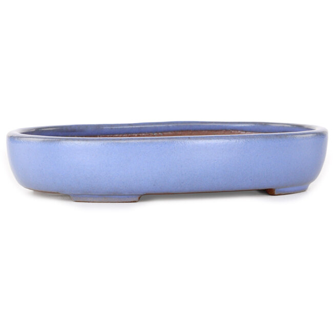 Maceta ovalada para bonsái azul claro de Yamafusa - 213 x 163 x 40 mm