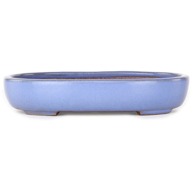 Ovale lichtblauwe bonsaipot van Yamafusa - 213 x 163 x 40 mm