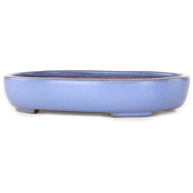 Vaso bonsai ovale azzurro di Yamafusa - 213 x 163 x 40 mm