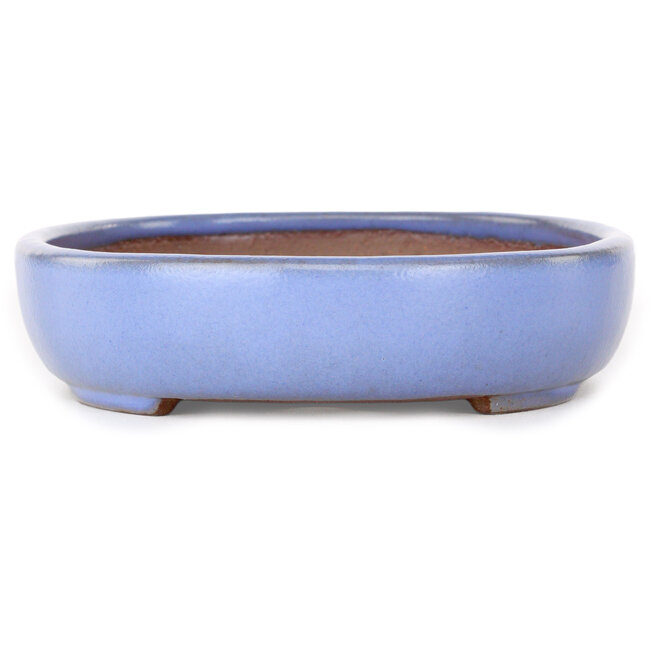 Oval light blue bonsai pot by Yamafusa - 213 x 163 x 40 mm