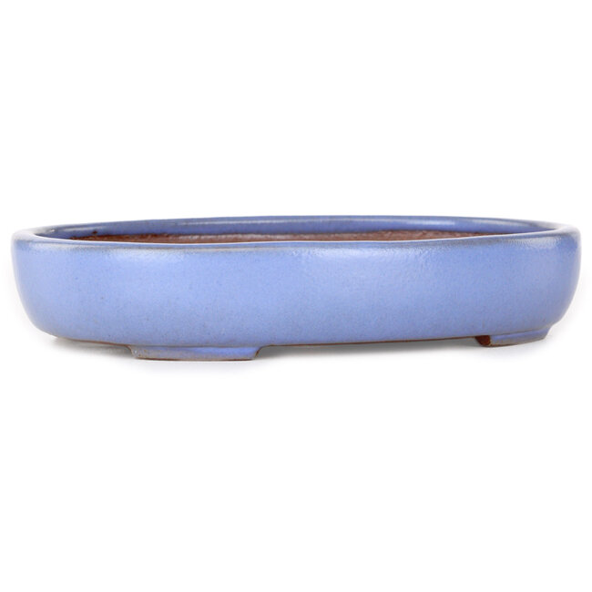 Maceta ovalada para bonsái azul claro de Yamafusa - 213 x 163 x 40 mm