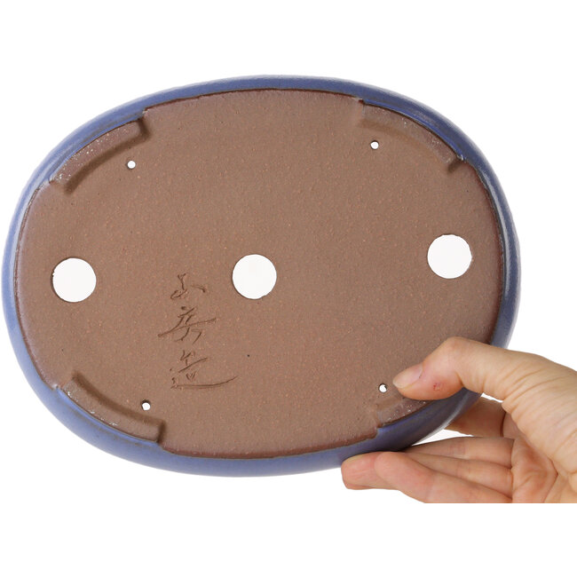 Oval light blue bonsai pot by Yamafusa - 213 x 163 x 40 mm