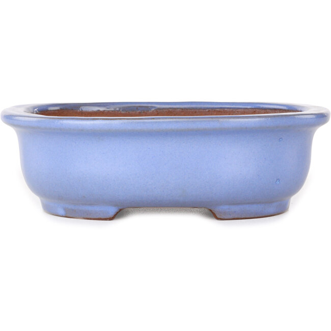 Vaso bonsai ovale azzurro di Yamafusa - 188 x 153 x 60 mm