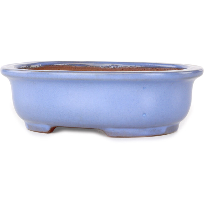 Maceta ovalada para bonsái azul claro de Yamafusa - 188 x 153 x 60 mm