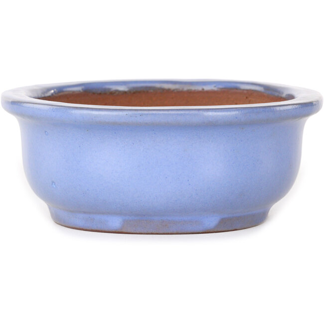 Pot à bonsaï ovale bleu clair de Yamafusa - 188 x 153 x 60 mm