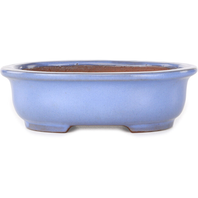 Vaso bonsai ovale azzurro di Yamafusa - 188 x 153 x 60 mm