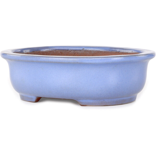 Maceta ovalada para bonsái azul claro de Yamafusa - 188 x 153 x 60 mm