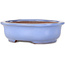 Pot à bonsaï ovale bleu clair de Yamafusa - 188 x 153 x 60 mm
