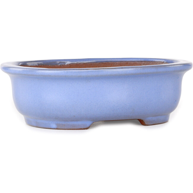 Vaso bonsai ovale azzurro di Yamafusa - 188 x 153 x 60 mm