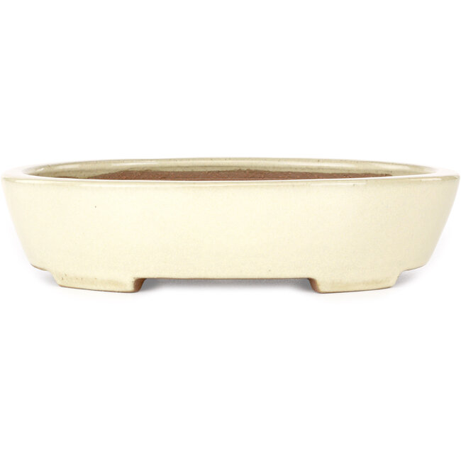 Ovale beige bonsaipot van Yamafusa - 278 x 216 x 65 mm