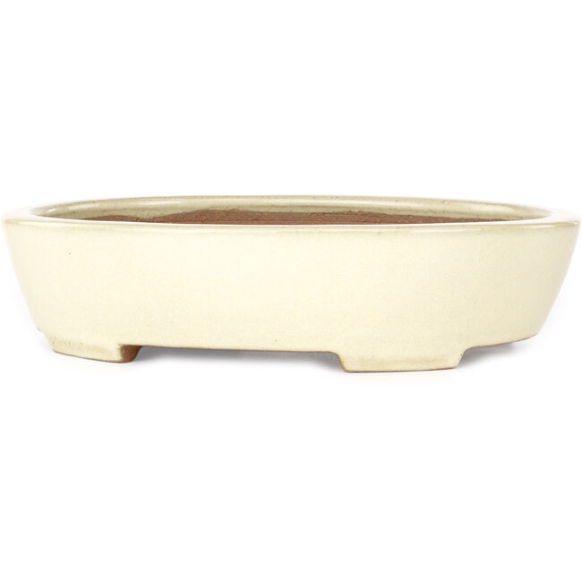 Pot à bonsaï ovale beige Yamafusa - 278 x 216 x 65 mm