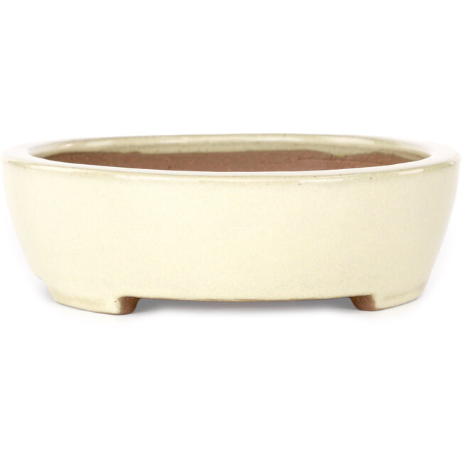 Maceta ovalada beige para bonsái de Yamafusa - 278 x 216 x 65 mm