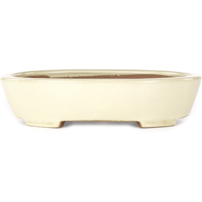 Ovale beige bonsaipot van Yamafusa - 278 x 216 x 65 mm