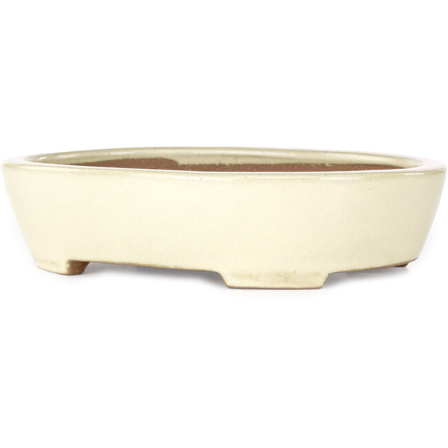 Ovale beige bonsaipot van Yamafusa - 278 x 216 x 65 mm
