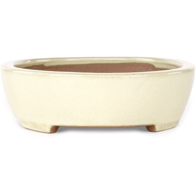 Pot à bonsaï ovale beige Yamafusa - 278 x 216 x 65 mm