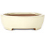 Vaso bonsai ovale beige di Yamafusa - 278 x 216 x 65 mm