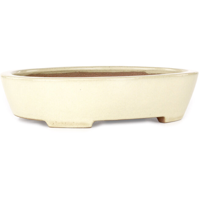 Ovale beige bonsaipot van Yamafusa - 278 x 216 x 65 mm