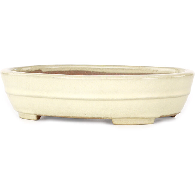 Maceta ovalada beige para bonsái de Yamafusa - 210 x 165 x 50 mm