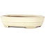 Vaso bonsai ovale beige di Yamafusa - 210 x 165 x 50 mm