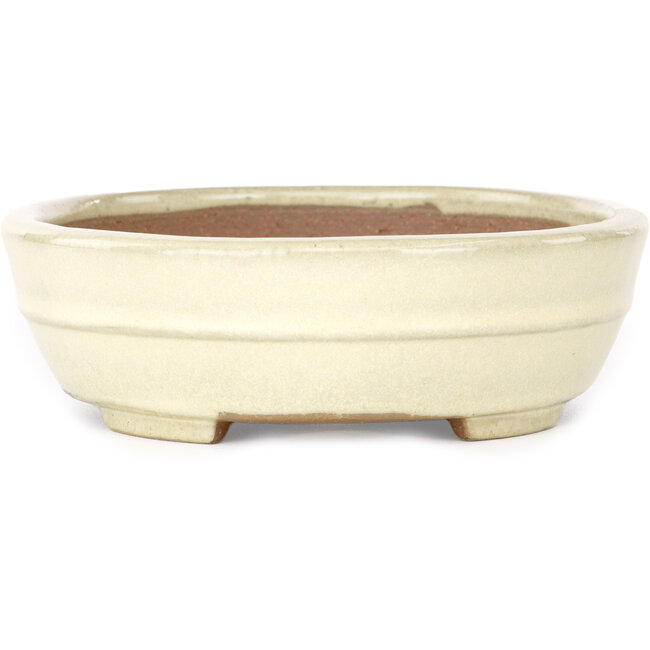 Vaso bonsai ovale beige di Yamafusa - 210 x 165 x 50 mm