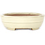 Oval beige bonsai pot by Yamafusa - 210 x 165 x 50 mm