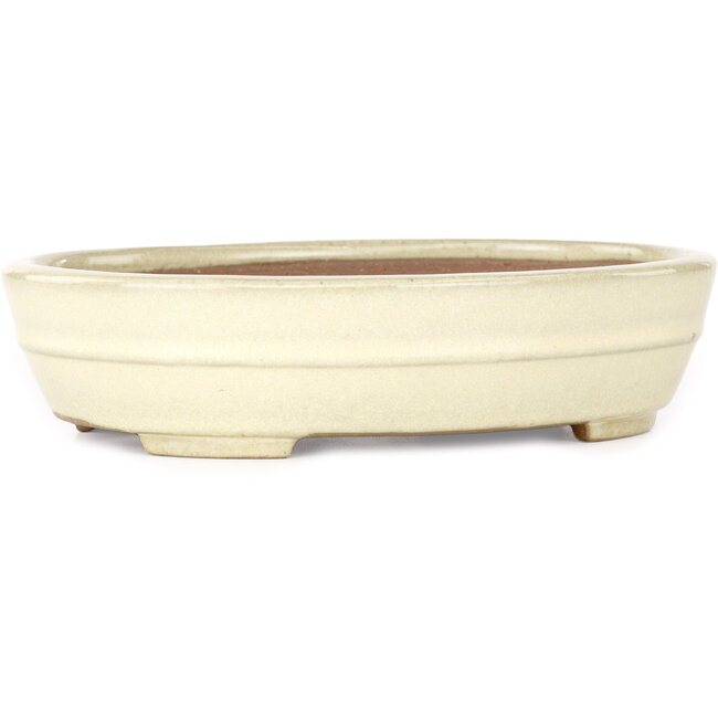 Oval beige bonsai pot by Yamafusa - 210 x 165 x 50 mm