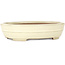 Oval beige bonsai pot by Yamafusa - 210 x 165 x 50 mm