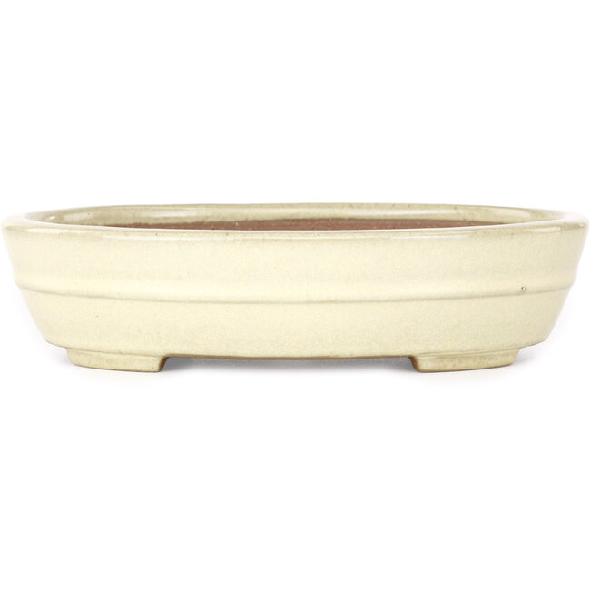 Oval beige bonsai pot by Yamafusa - 210 x 165 x 50 mm