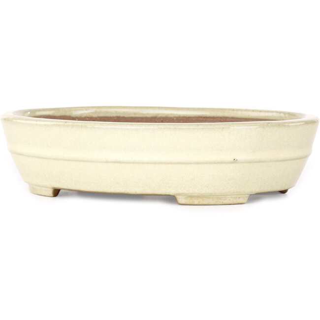 Oval beige bonsai pot by Yamafusa - 210 x 165 x 50 mm