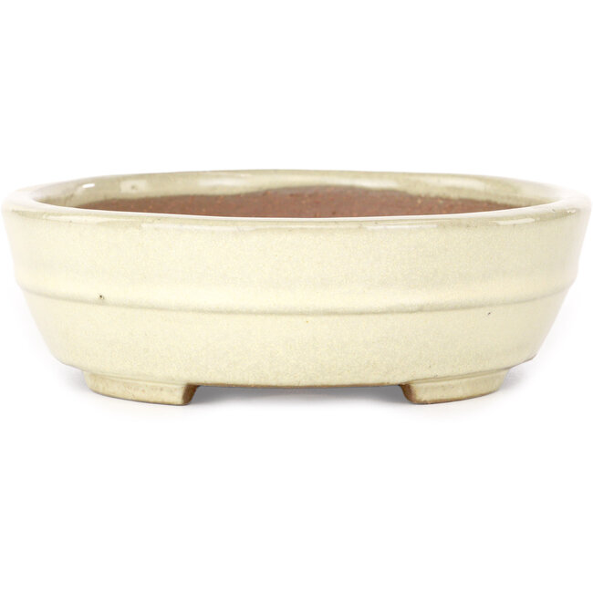 Pot à bonsaï ovale beige Yamafusa - 210 x 165 x 50 mm