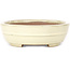 Maceta ovalada beige para bonsái de Yamafusa - 210 x 165 x 50 mm