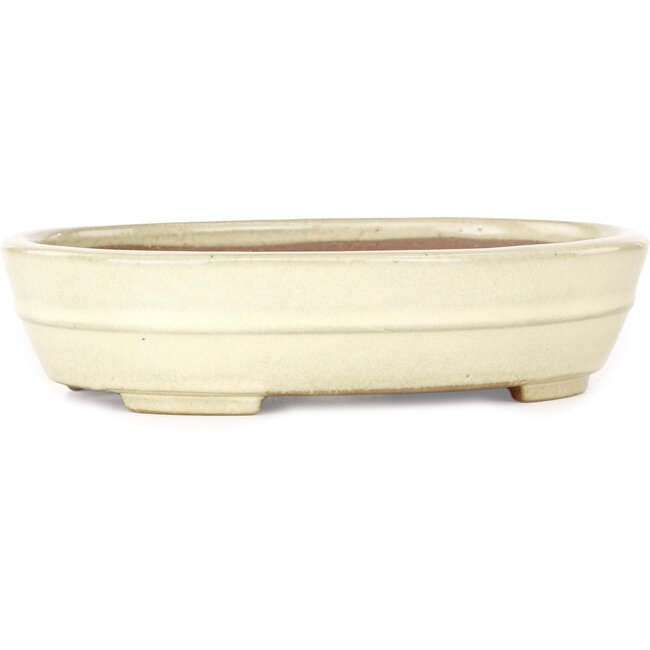 Vaso bonsai ovale beige di Yamafusa - 210 x 165 x 50 mm