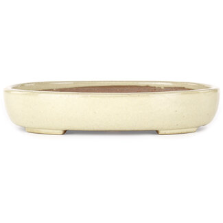  Yamafusa - Takehiko Koie 210 mm  beige bonsai pot by Yamafusa, Tokoname, Japan