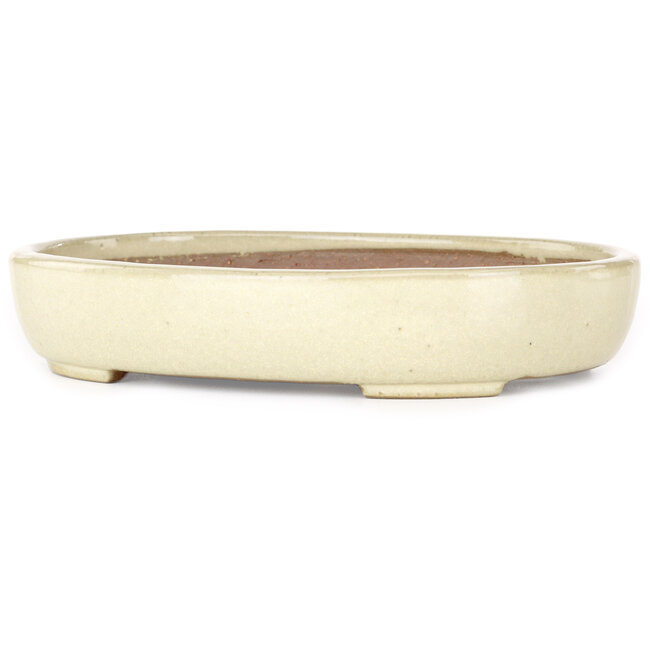 Oval beige bonsai pot by Yamafusa - 210 x 165 x 37 mm