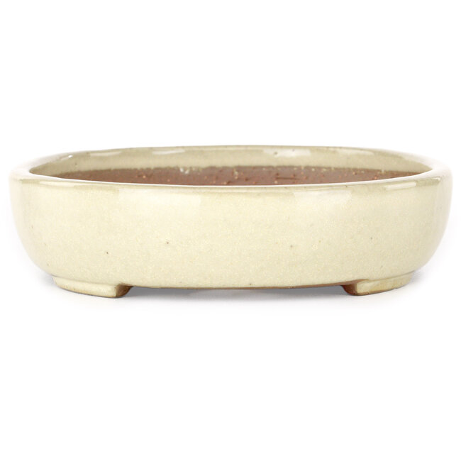 Oval beige bonsai pot by Yamafusa - 210 x 165 x 37 mm