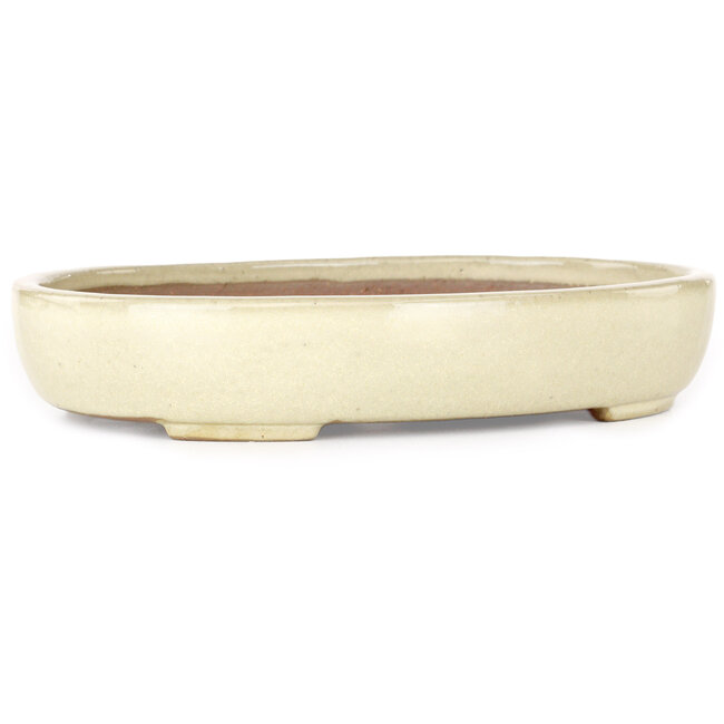 Pot à bonsaï ovale beige Yamafusa - 210 x 165 x 37 mm