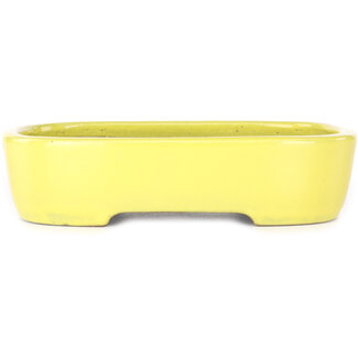  Yamafusa - Takehiko Koie 210 mm  yellow bonsai pot by Yamafusa, Tokoname, Japan