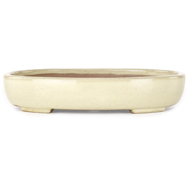 Vaso bonsai ovale beige di Yamafusa - 210 x 165 x 37 mm