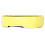 Vaso bonsai ovale giallo di Yamafusa - 210 x 163 x 52 mm