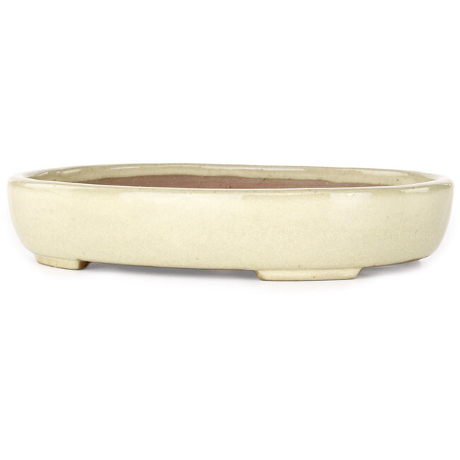 Pot à bonsaï ovale beige Yamafusa - 210 x 165 x 37 mm
