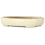 Oval beige bonsai pot by Yamafusa - 210 x 165 x 37 mm